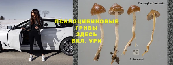 ECSTASY Дмитриев