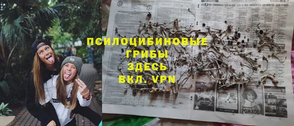 ГАЛЛЮЦИНОГЕННЫЕ ГРИБЫ Дмитровск