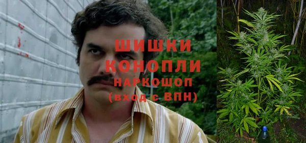 ГАЛЛЮЦИНОГЕННЫЕ ГРИБЫ Дмитровск