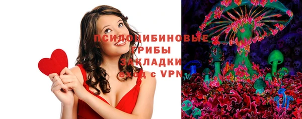 ГАЛЛЮЦИНОГЕННЫЕ ГРИБЫ Дмитровск