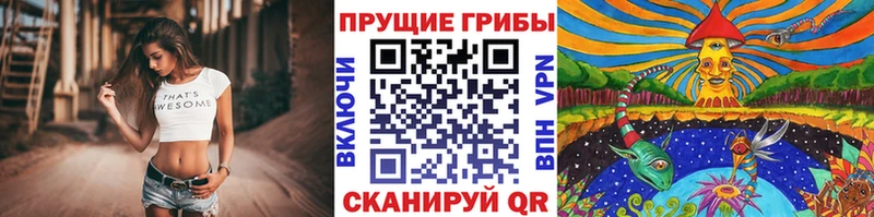 Галлюциногенные грибы Magic Shrooms  Купить  Велиж 